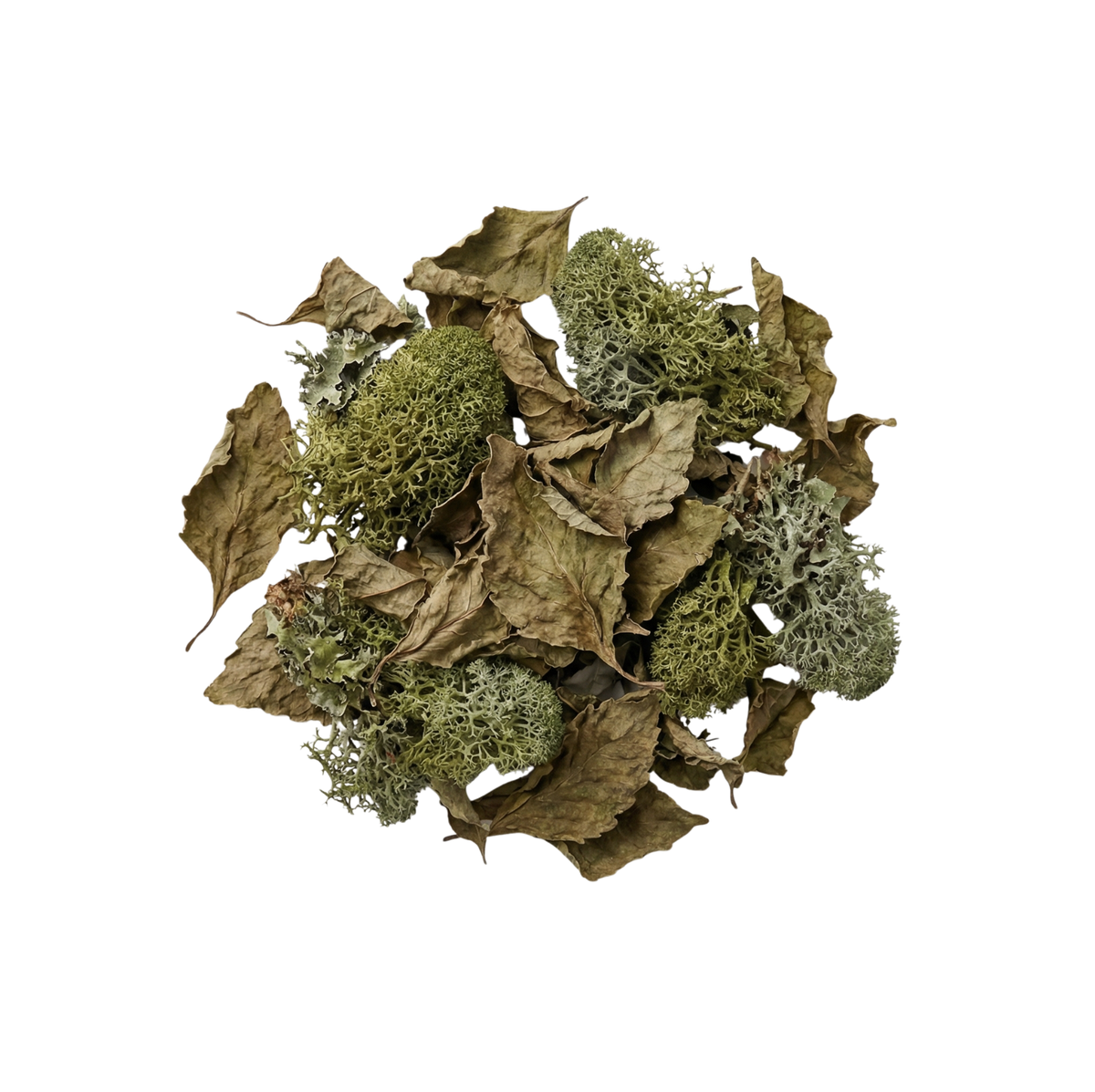 Chyprés