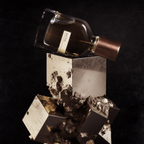 Brutus EDP