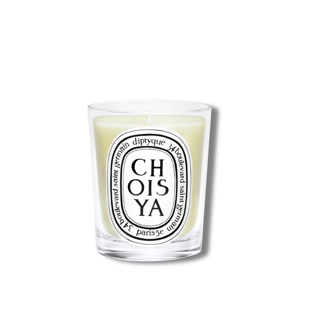CHOISYA BOUGIE