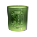 Figuier Bougie