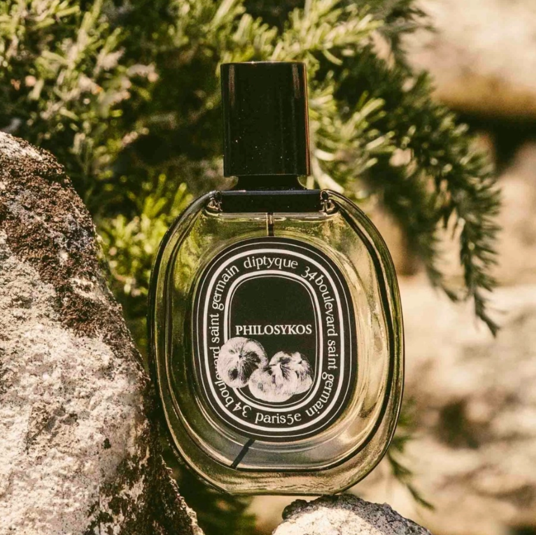 Philosykos EDP