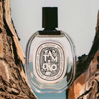 Tam Dao EDT