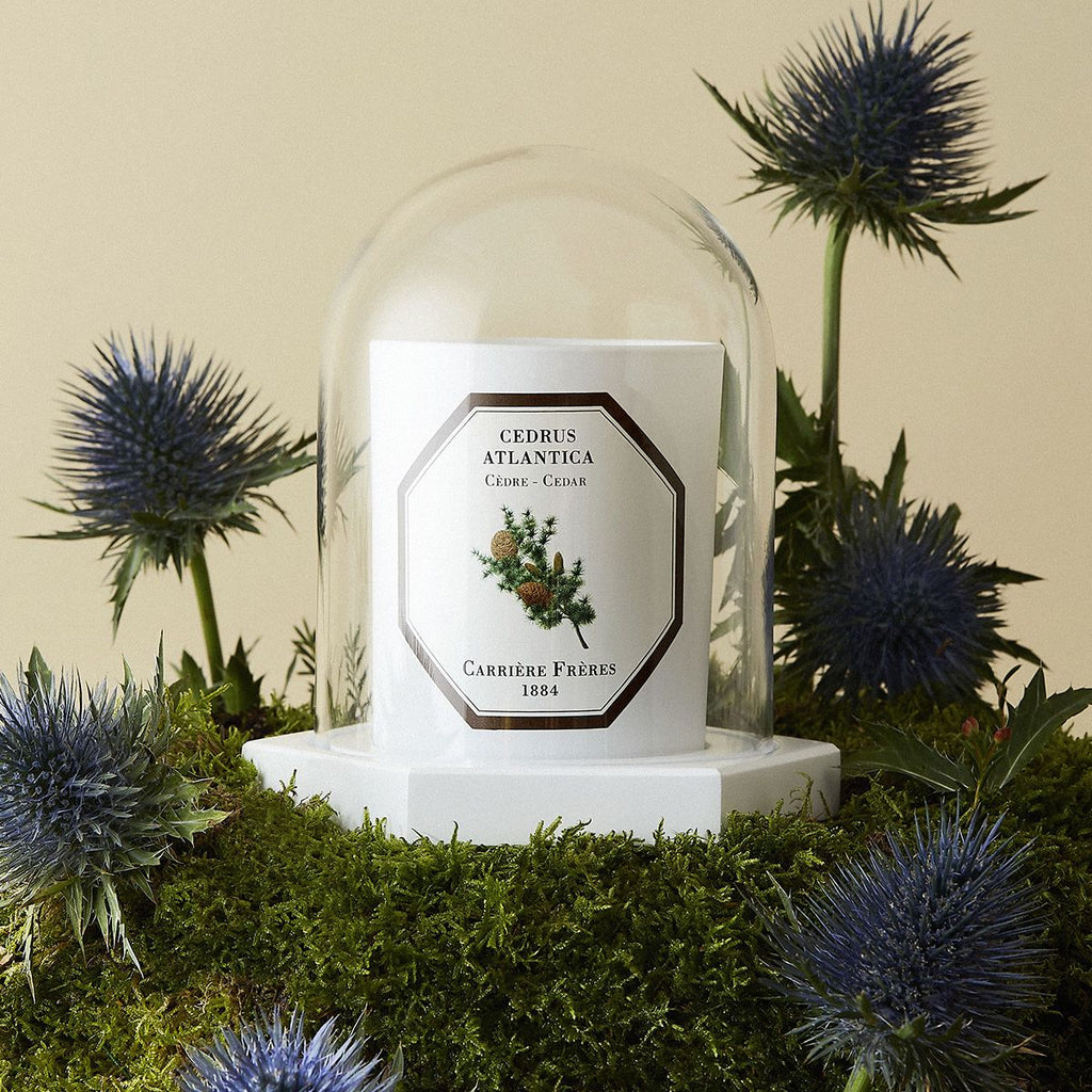 Candle Cloche